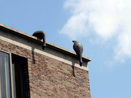 Slappe Zwanen, 2005-2008