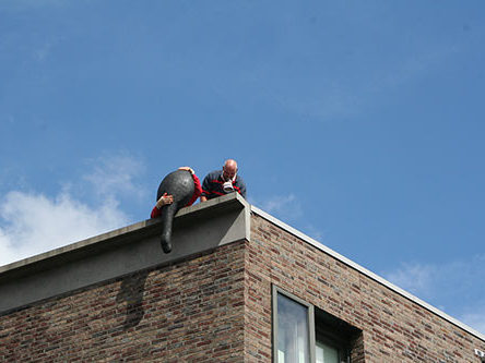 Slappe Zwanen, 2005-2008